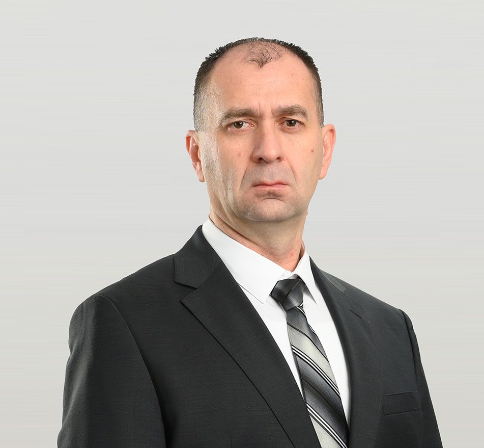 Rastko-Pavlovic