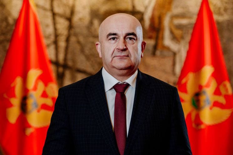 Vladimir-Joković